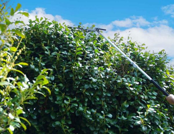 Zipper Gartenpflegeset ZI-GPS252